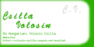 csilla volosin business card